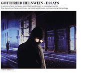 Tablet Screenshot of gottfried-helnwein-essays.com